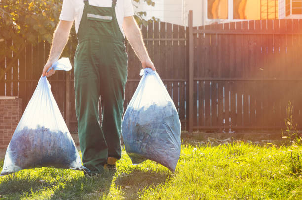 Shed Removal in Glendale, AZ